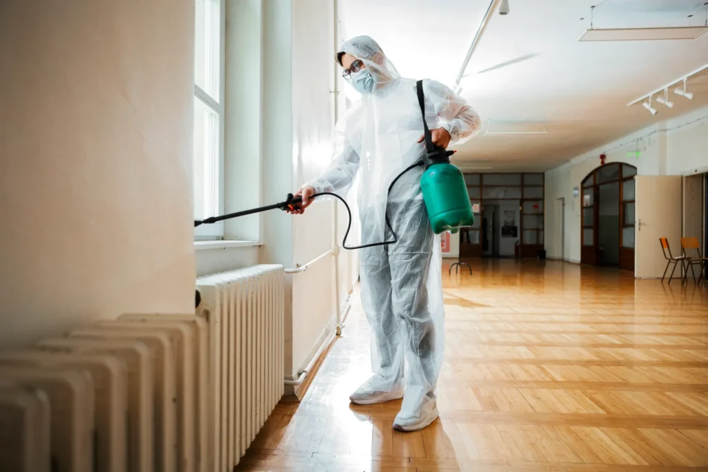 How Our Process Works - Montclair Best Pest Pros | Montclair, CA